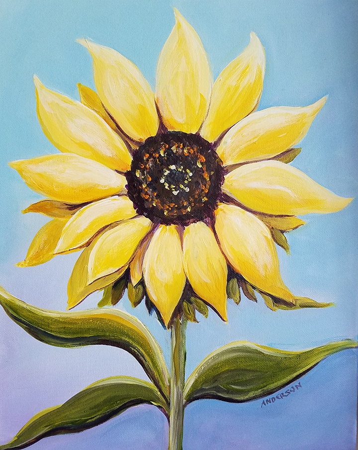 14 x 11 Sunflowers